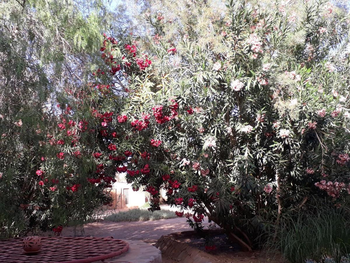 Bed and Breakfast Dar Paru M'Hamid El Ghizlane Exterior foto