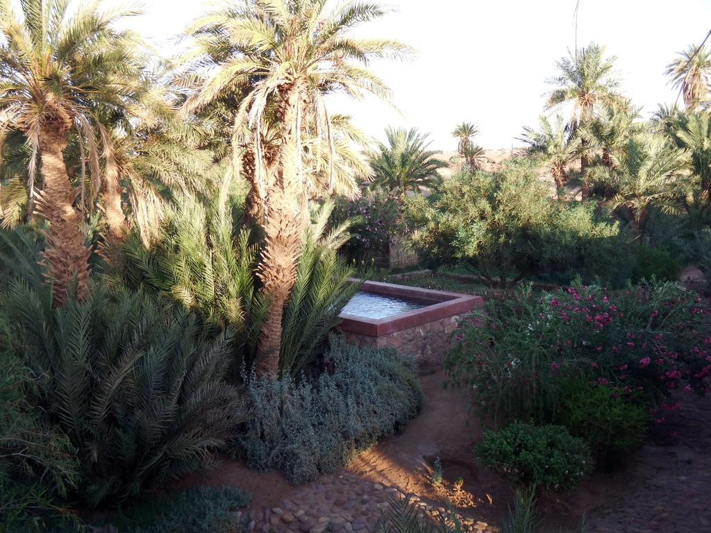 Bed and Breakfast Dar Paru M'Hamid El Ghizlane Exterior foto