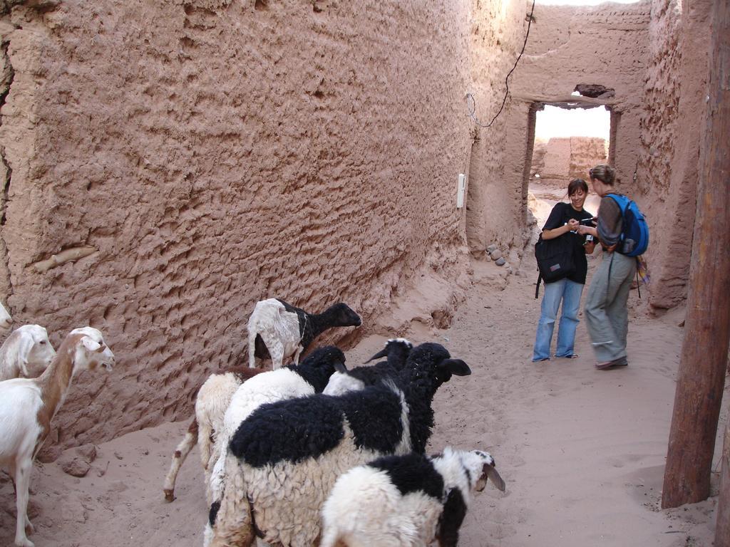 Bed and Breakfast Dar Paru M'Hamid El Ghizlane Exterior foto