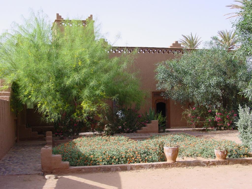 Bed and Breakfast Dar Paru M'Hamid El Ghizlane Exterior foto