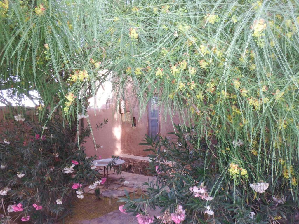 Bed and Breakfast Dar Paru M'Hamid El Ghizlane Habitación foto